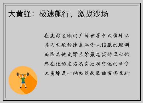 大黄蜂：极速飙行，激战沙场