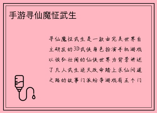 手游寻仙魔怔武生