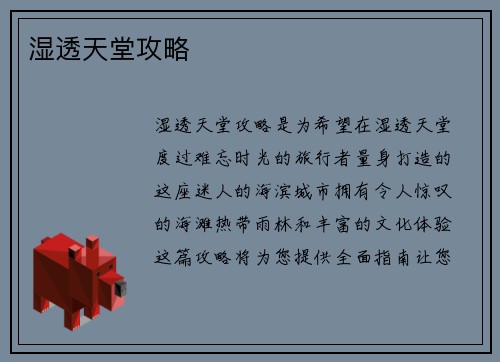 湿透天堂攻略